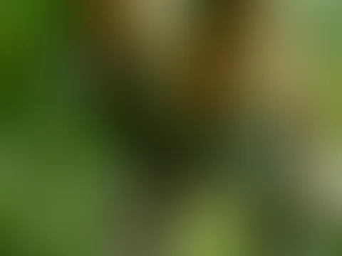 Nackte Tatsachen im Maisfeld 18+