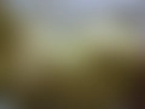 Guten Morgen und einen schönen Start in die neue Woche 💋