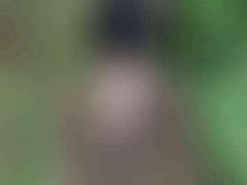 Möchtest du mit mir in den Wald gehen?