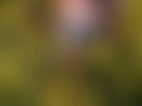 Meine Nippel stehen und die Brüste wackeln - wie gefällt euch das?? - meine neue Serie ist auch online wo ich ganz nackt in der Wiese rumhüpf und rumspring ;-)