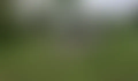 S******e im Park aufgerissen! Wir suchen beide nach einem steifen S*****z.