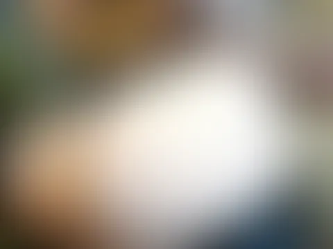 Feedcode: Love69 ❤️ spare noch bis nächste Woche 50 % beim Feed Abo Babe 🥰auch für inhalte benutzbar so oft du willst bis zum 29 ten 40 % sparen bei inhalten 💦 auch der Lush wird bis nächste Woche i