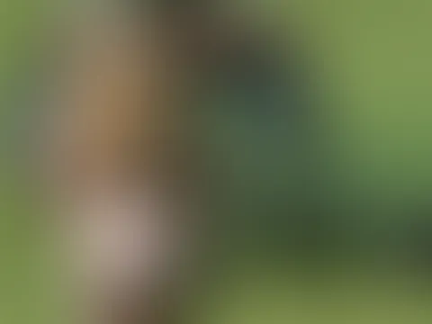 Heiße Feldarbeit beim Schwaden