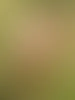 Diesen Tag habe ich sehr genossen! Jetzt kann ich wieder viel mehr solcher Bilder machen, da das Wetter immer besser wird. đ đ Sich schön outdoor mitten auf der Wiese nehmen lassen!!! đ„° Da hĂ€tte