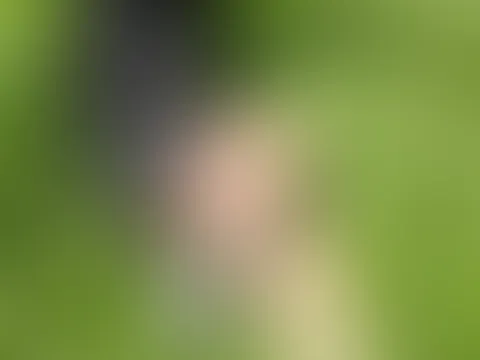 Uff, ich liege in diesem saftigen Gras… 🌿😈 Es ist so warm, weich und kitzelig… Womit soll ich mich hier beschäftigen? 😏