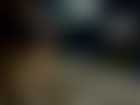 Die P**s Haltestelle