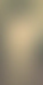 Heute mal in Netz
