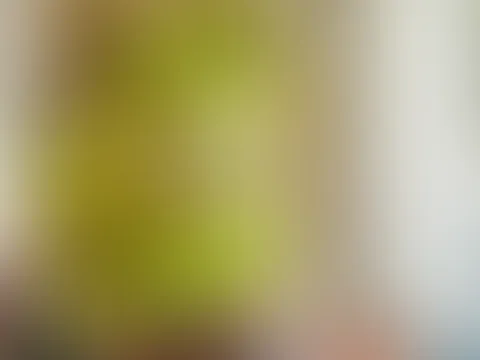 Dieses Netzkleidchen lässt kaum etwas der Fantasie über... oder doch? 🔥😏 Willst du mehr sehen?