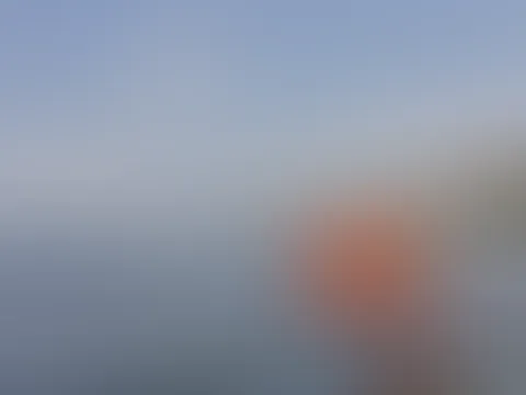 Video 9:01. Frisbee with me