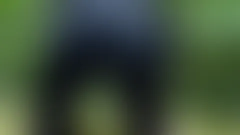 Im Wald lasse ich meinen A***h vor dir tanzen und streife meine hautenge Hose und Tanga ab…