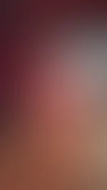 Weitere Bilder in den Inhalten