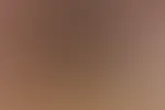 Einfach meine MILF P***y