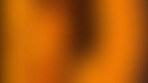 Lieber Blond oder Braun?