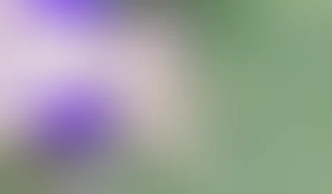 Kleine Abkühlung gefällig ? 💦😋
