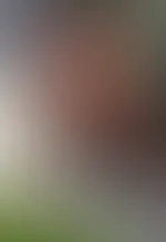 Das Auto putzen oder dogging mit Fremden ? Was glaubst du habe ich da gemacht? 😎😎