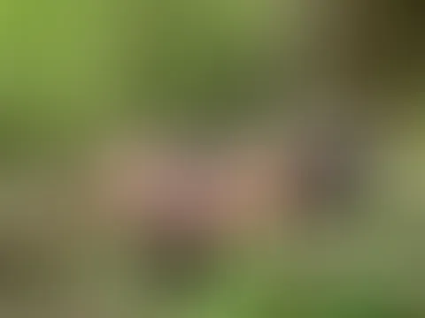 Im Dessous liege ich gemütlich auf einem Baumstamm und lasse meine nackten Tittchen die frische Waldluft geniessen