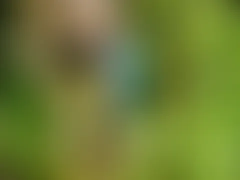 Beny steht horny im Wald un bräuchte Hilfe mit seinem S*****z…
