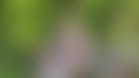Eigentlich wollte ich nur entspannt durch den Wald laufen… doch plötzlich hat mich die Lust komplett überrollt 😈  Zum Glück hatte ich meinen Dildo dabei 🔥 Ich konnte einfach nicht widerstehen und ha