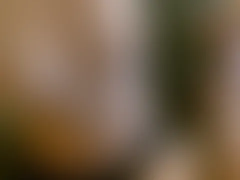 Ich