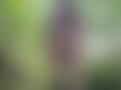 Die Natur kann so schön sein😋🌱