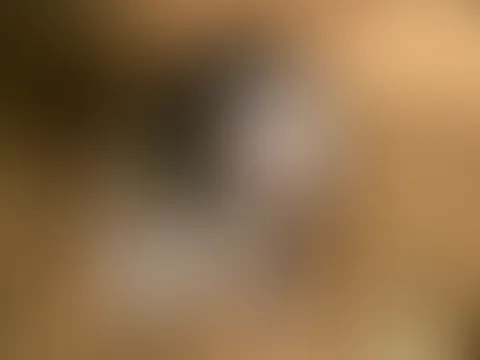 Möchtest du mein Arschloch sehen?