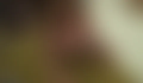 Am Ballermann da ballert man!