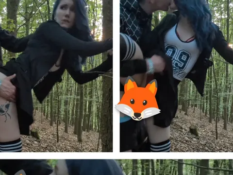 C******e im Wald