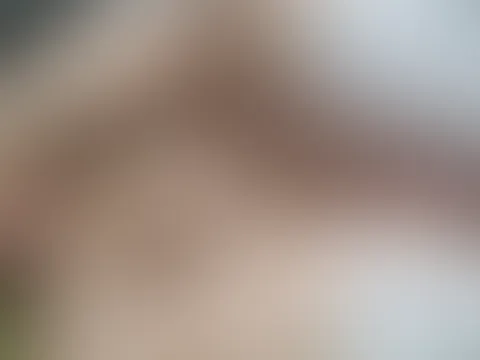 🌞🌞🌞
