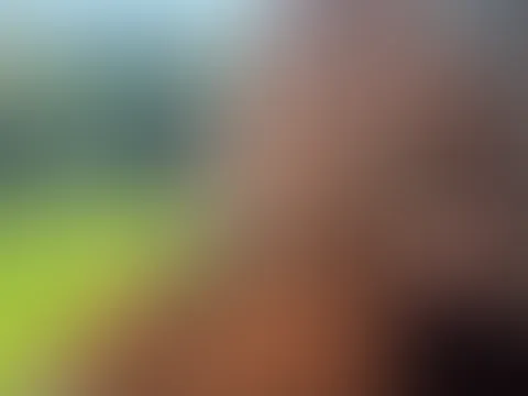 Moin süßer …. Hast du Lust auf einen heißes Wochenstart?? Dann komm mich doch in der livecam besuchen und wir machen uns eine geile Zeit 😘🫵🏼💦