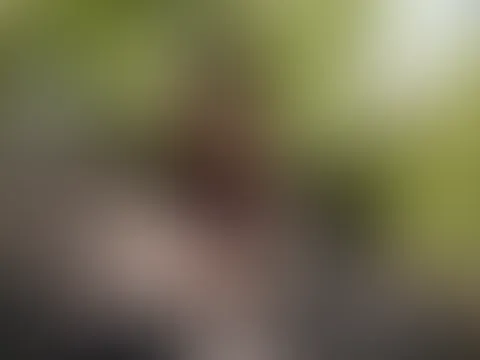 😂