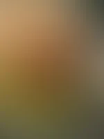 Ab auf die Autobahn