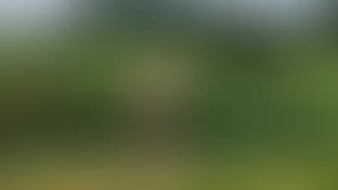 Topless in the countryside