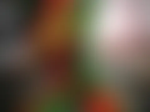 Weihnachtshooting Teil 1 đđ
đ