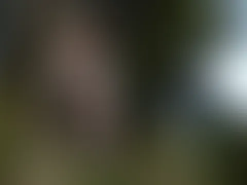 Die nackte Jägerin 18+