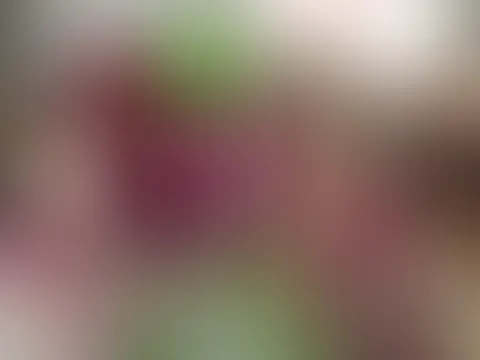 jetzt kommt der Grinch