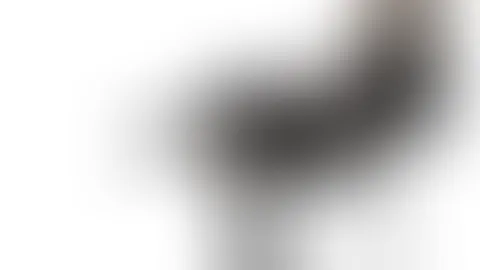ICH GRÜSSE DICH