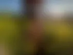 Mein Tag im Rapsfeld📸🤤