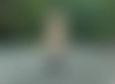 Allgemeine Verkerhskontrolle