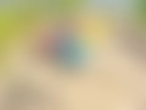 Susis heißer Sommertag