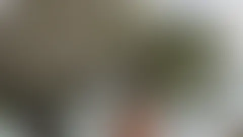 Hab einen schönen Tag, mein lieber Junge