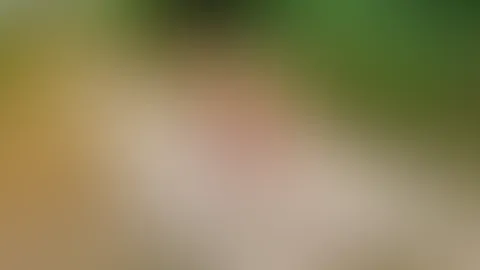 Tiefe Einblicke am Sonntagmorgen... 🌲🔥