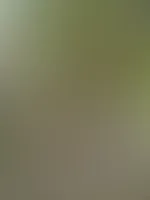 😈💚