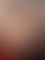 guten morgen