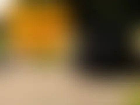 AUTOPANNE endet mit FACIAL!