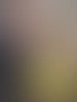 Freitag = Zeit für heiße Aussichten👀💛