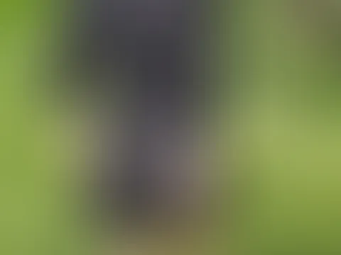 Zeit, mich abzuklopfen… 😏 Habt ihr die Grashalme auf meinem 🍑 bemerkt? Die sind so schön kleben geblieben… Wer hat nicht wegschauen können? Gibt zu 💦
