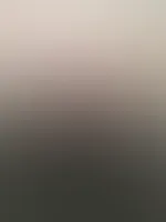 Die kleinen rosa Söckchen