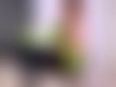 Kommt zu meinem Stream