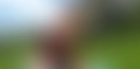 S*****z abgelutscht von Fremdem auf der Wiese