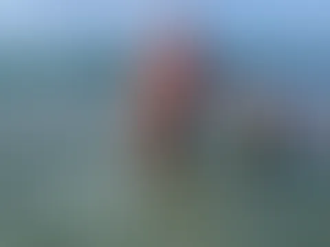 S*x abd Blowjob on the Beach plus Bonus